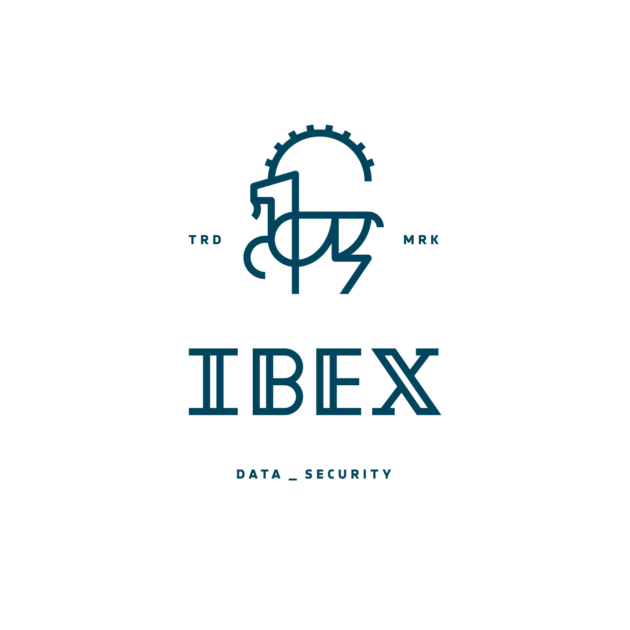 nelsoncouto-work-logos-ibexdatasecurity-v2