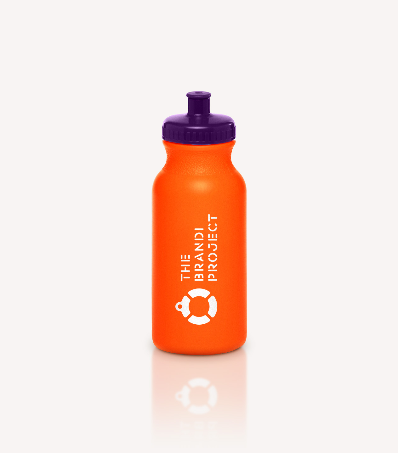 nelsoncouto-work-thebrandiproject-bottle-v2